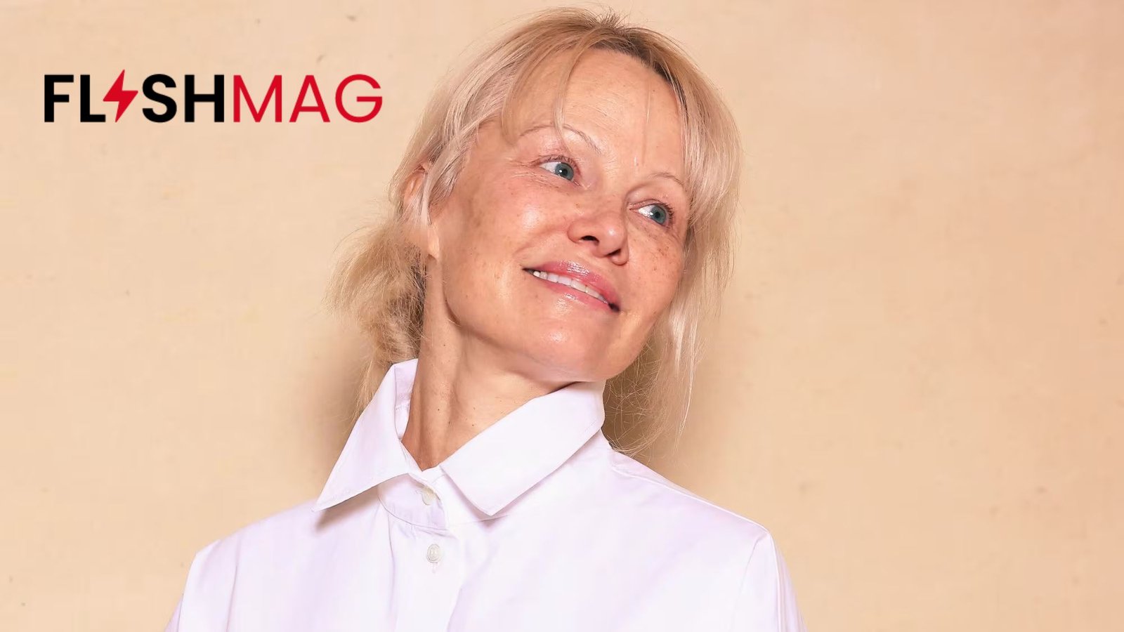 pamela anderson net worth