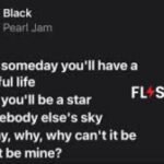 black pearl jam lyrics